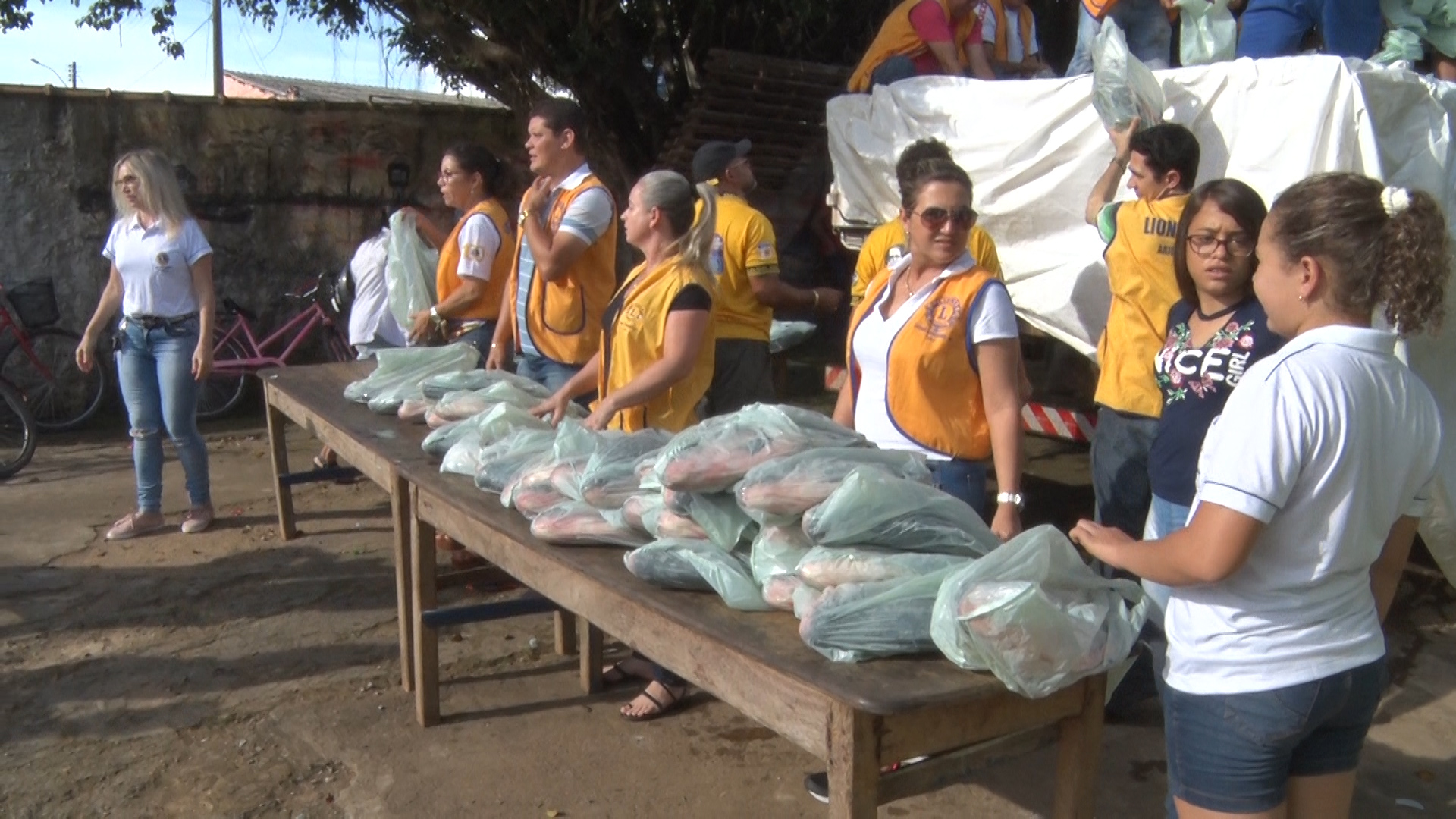 lions entrega de peixes